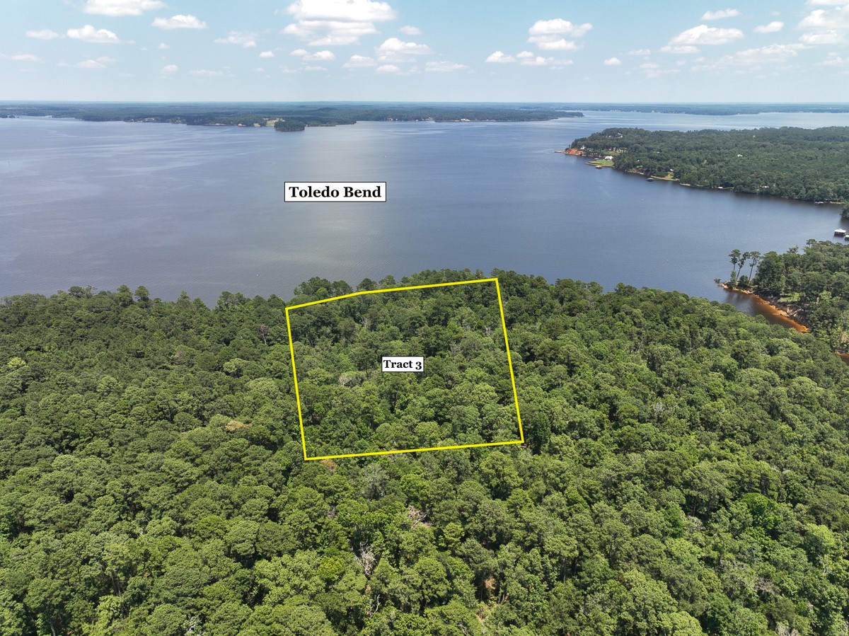 4 New Haven Road Hemphill, TX 75948 - Photo 3 of 8 a view of a bunch of flowers and yard