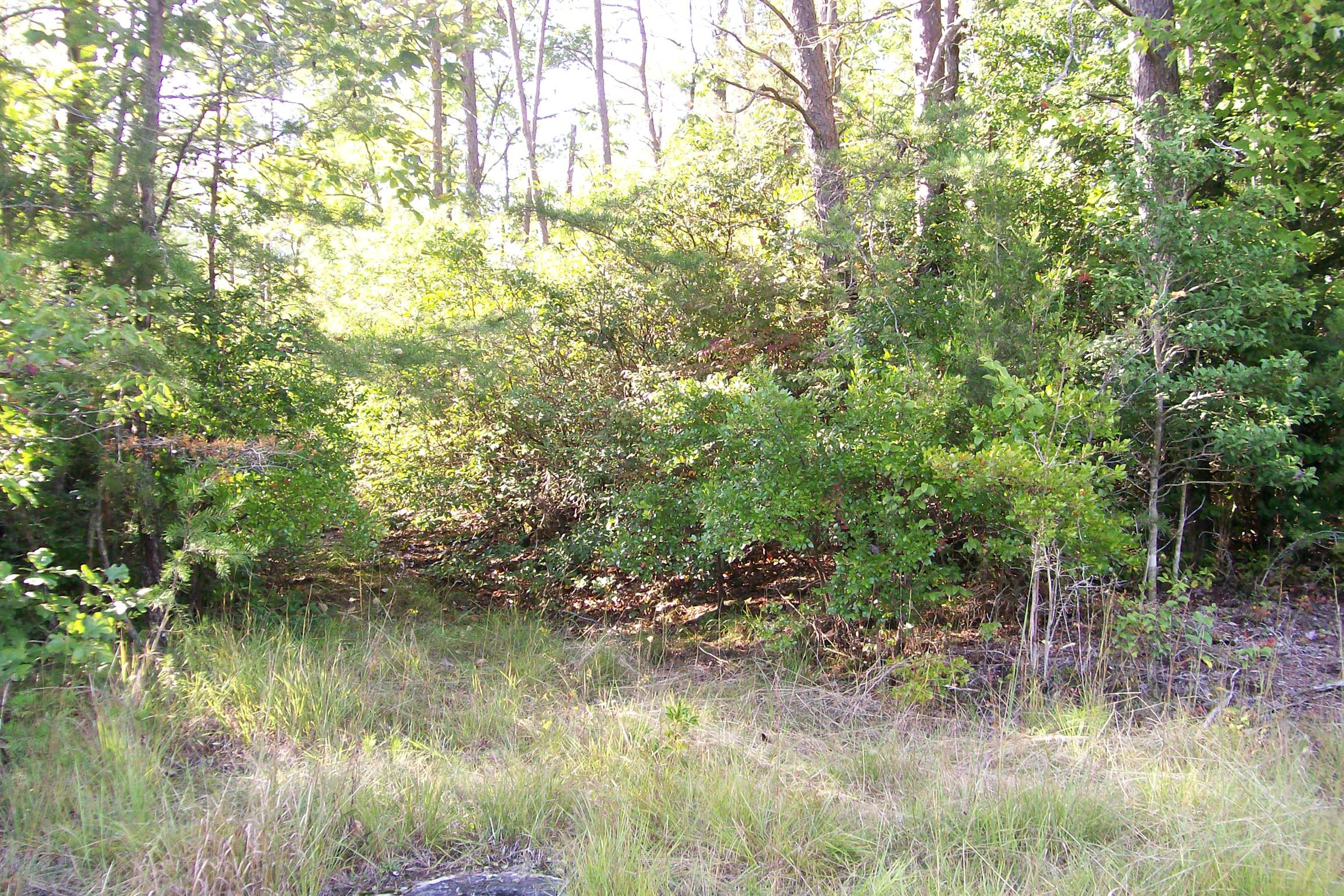 1850 Rte Davis Road Spencer, TN 38585 - Photo 3 of 5 Gallery Image 3