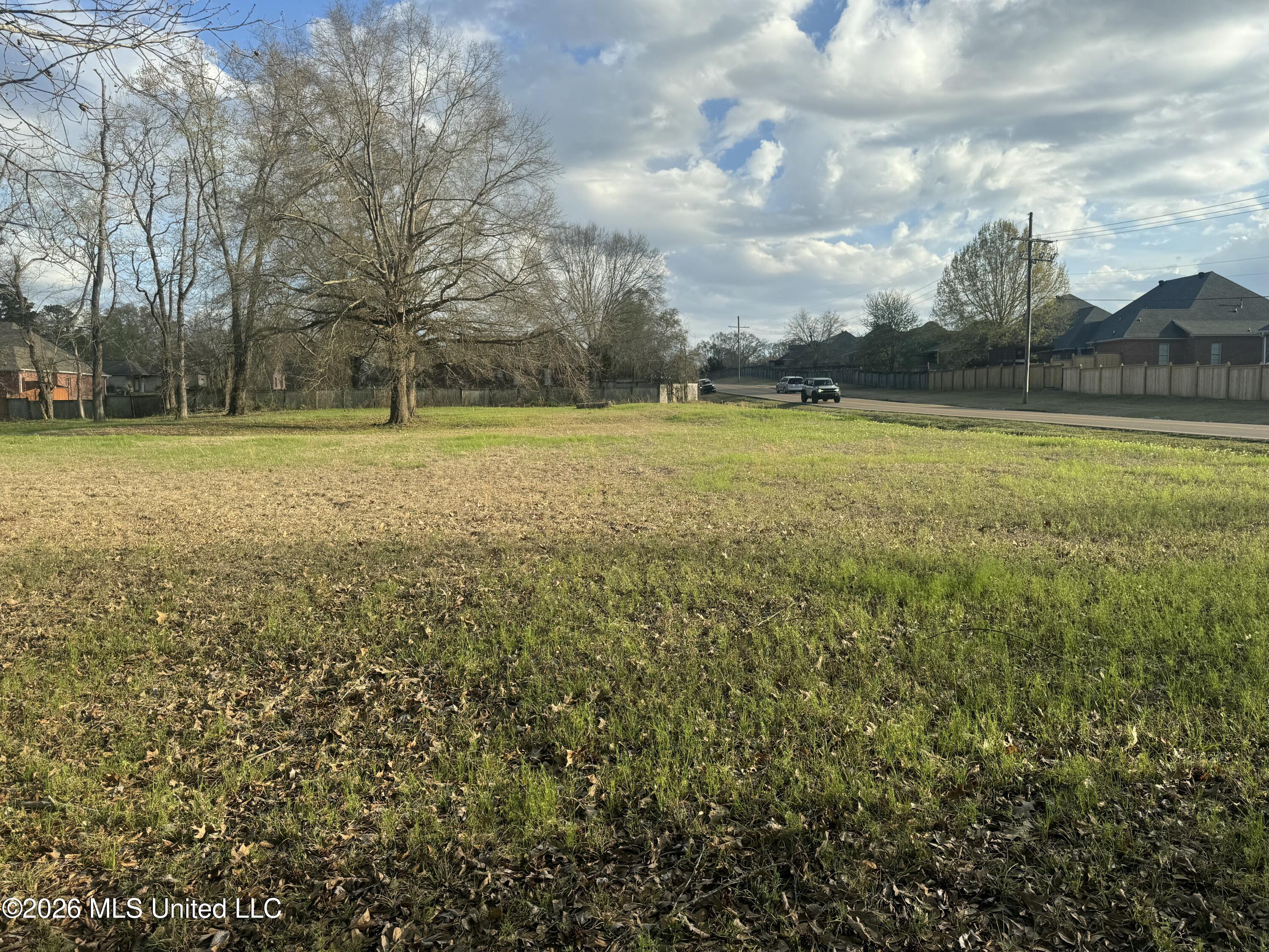 Yandell Road Canton, MS 39046 - Photo 3 of 11 IMG_1938