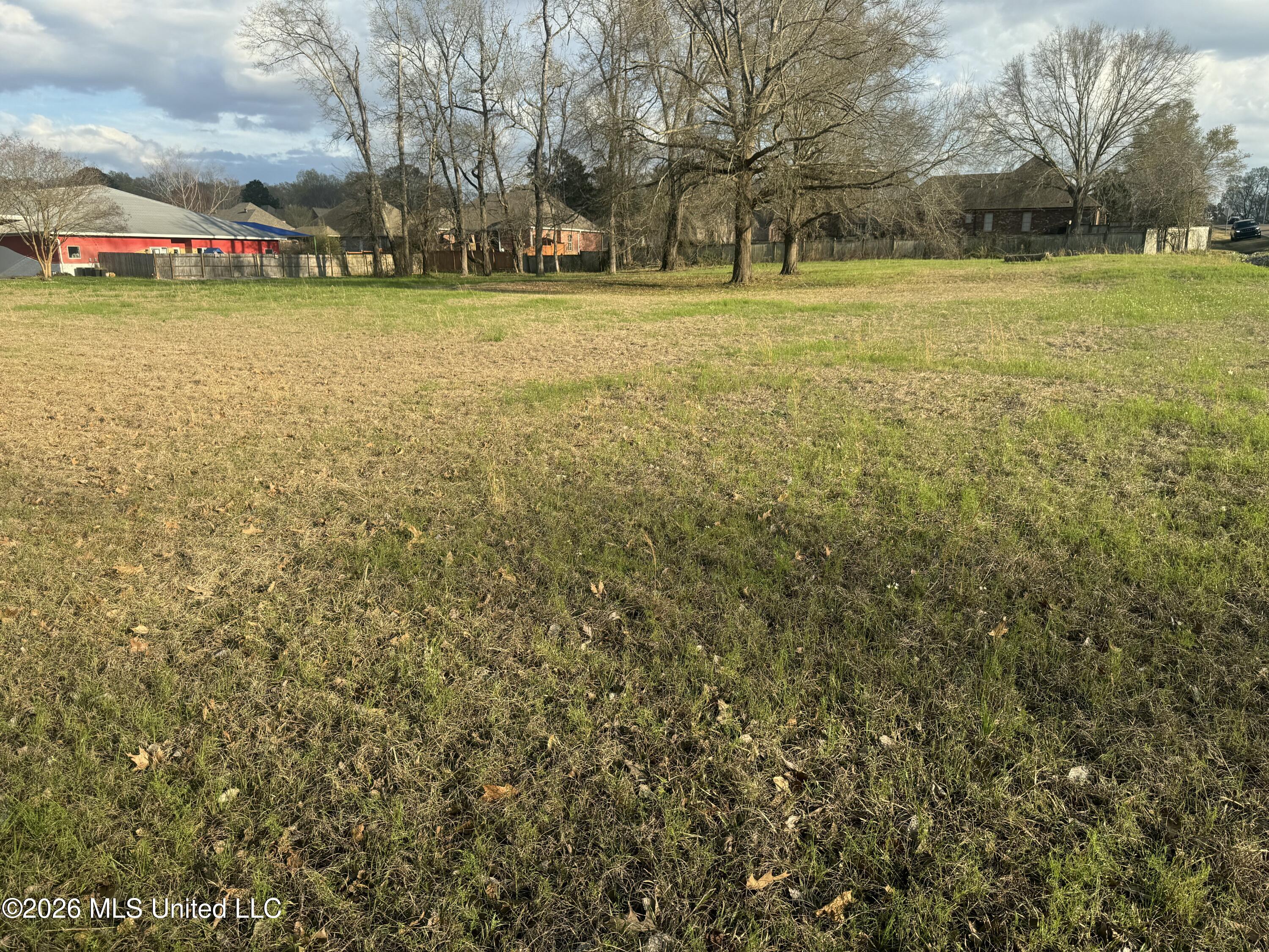 Yandell Road Canton, MS 39046 - Photo 4 of 11 IMG_1933