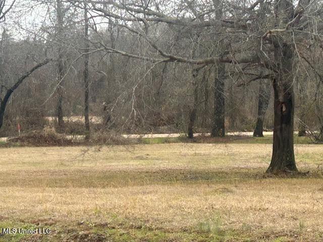 Yandell Road Canton, MS 39046 - Photo 9 of 11 0-1