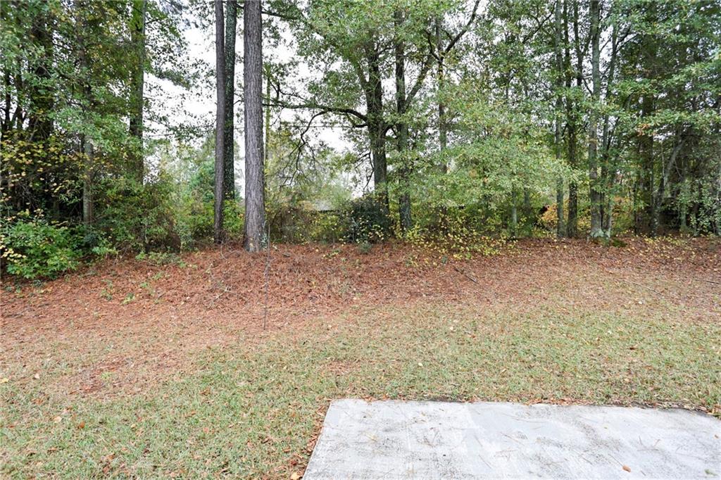 661 Michael Circle Monroe, GA 30655 - Photo 18 of 20 a view of a forest with trees in the background