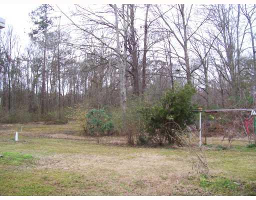 53489 Crossover Road Independence, LA 70443 - Photo 8 of 8