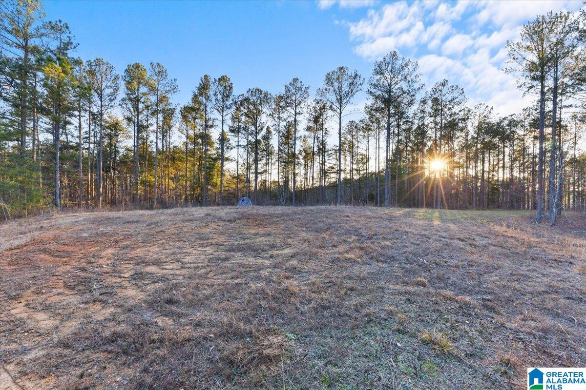 0 Smith Road Boaz, AL 35957 - Photo 2 of 27 Gallery Image 2