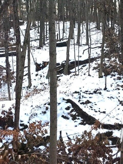 424 13 Mile Road Northeast Sparta, MI 49345 - Photo 1 of 17 13 Mile13