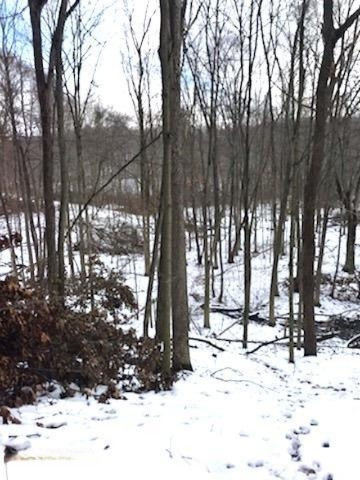 424 13 Mile Road Northeast Sparta, MI 49345 - Photo 12 of 17 13 Mile 11