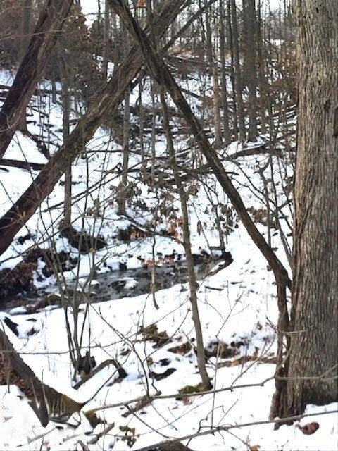 424 13 Mile Road Northeast Sparta, MI 49345 - Photo 13 of 17 13 Mile 12