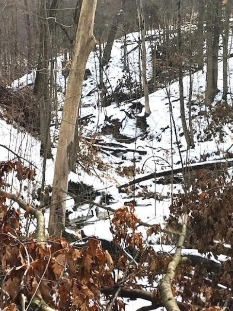 424 13 Mile Road Northeast Sparta, MI 49345 - Photo 14 of 17 13 Mile 14