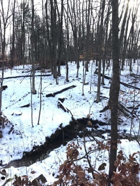 424 13 Mile Road Northeast Sparta, MI 49345 - Photo 16 of 17 13 Mile 16