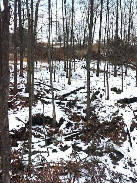 424 13 Mile Road Northeast Sparta, MI 49345 - Photo 6 of 17 13 Mile 5