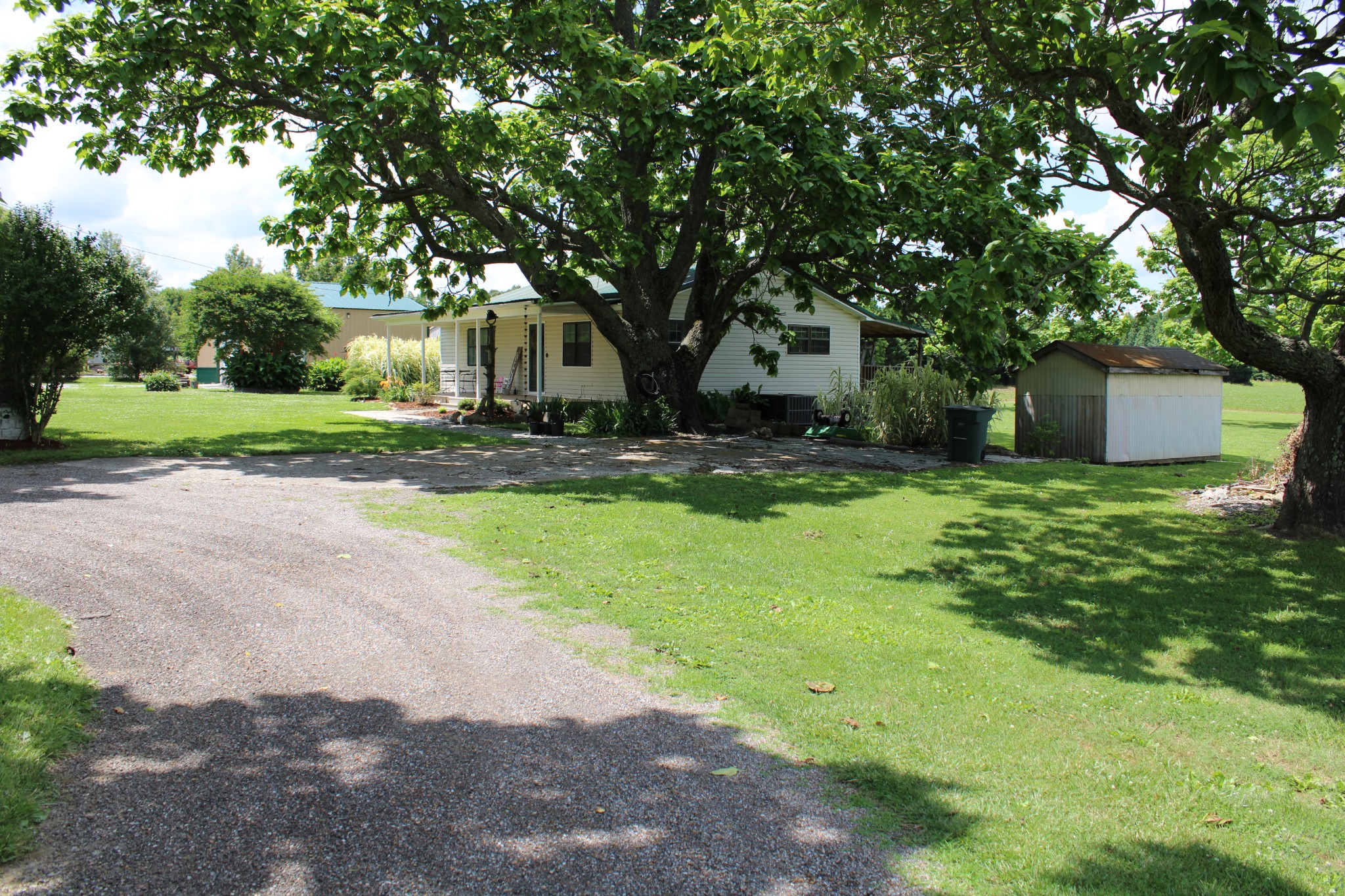 25677 Bethel Road Elkmont, AL 35620 - Photo 1 of 28 a view of a yard with plants and large trees