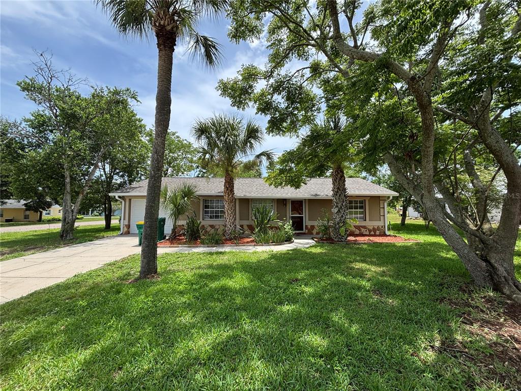 a tree in front of a white house