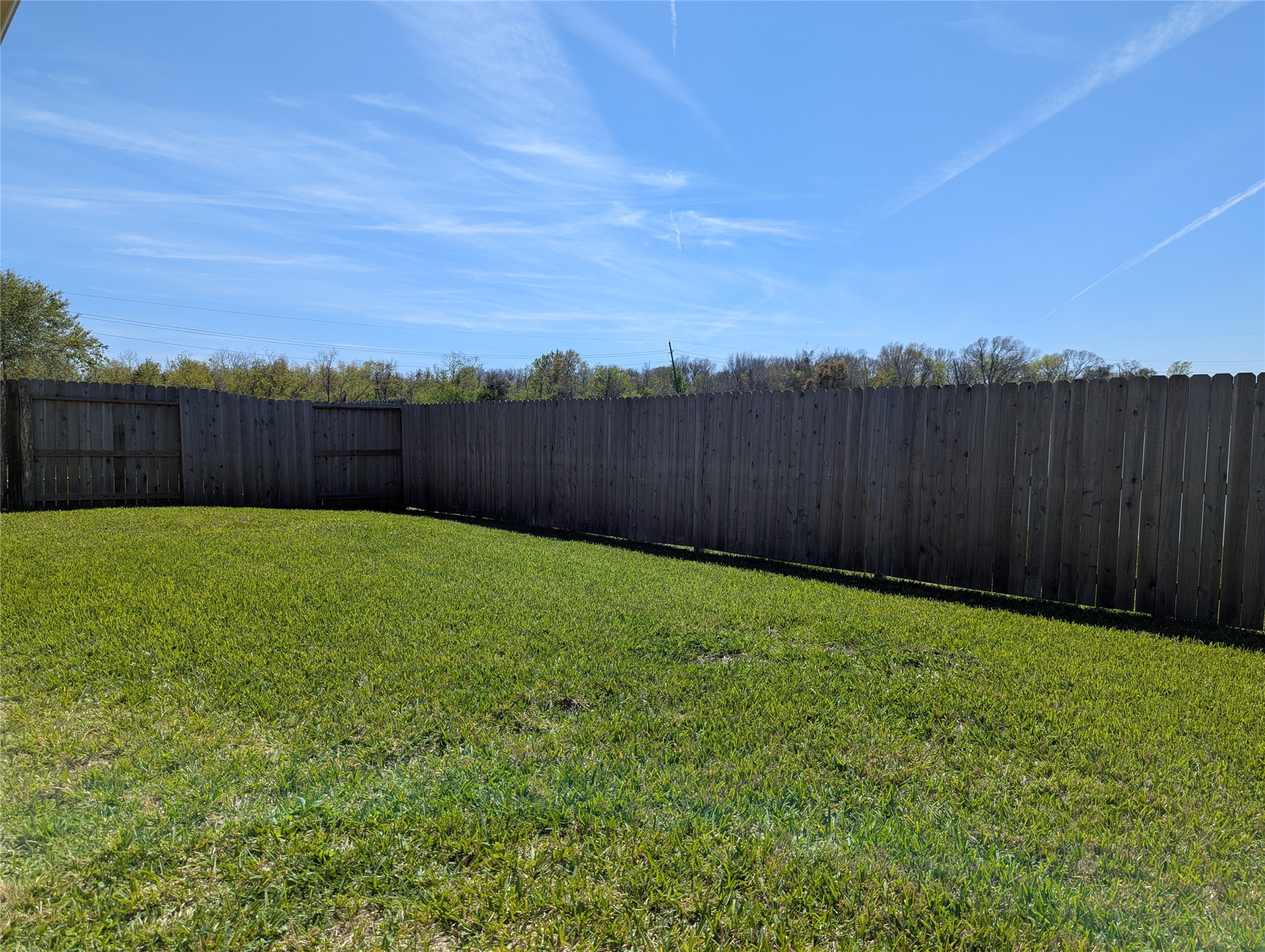 5618 Savannah Woods Lane Rosharon, TX 77583 - Photo 48 of 50