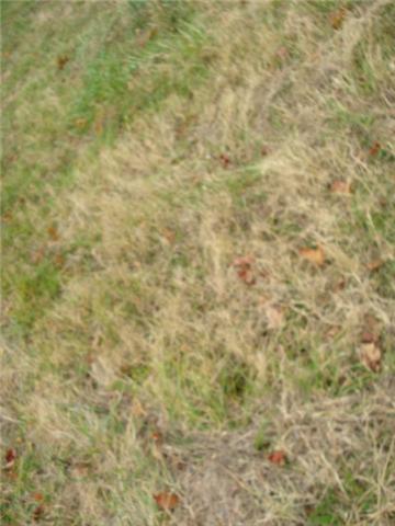 366 Green Road Beechgrove, TN 37018 - Photo 2 of 6