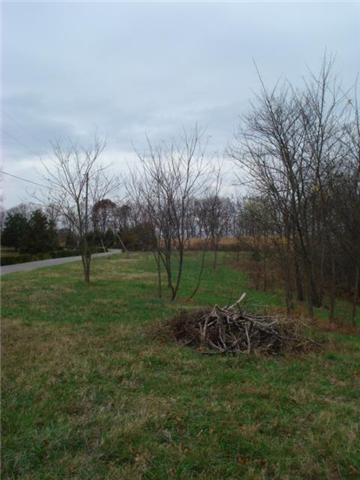 366 Green Road Beechgrove, TN 37018 - Photo 3 of 6