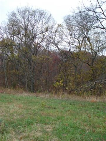 366 Green Road Beechgrove, TN 37018 - Photo 4 of 6