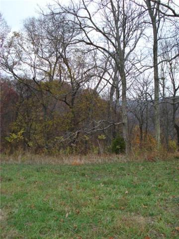 366 Green Road Beechgrove, TN 37018 - Photo 5 of 6