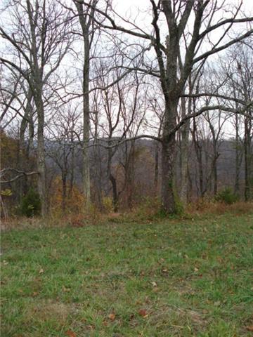 366 Green Road Beechgrove, TN 37018 - Photo 6 of 6