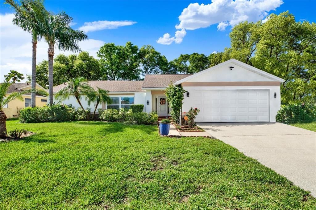 9806 Didrikson Drive New Port Richey, FL 34655 - Photo 2 of 36