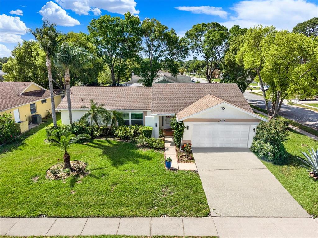 9806 Didrikson Drive New Port Richey, FL 34655 - Photo 30 of 36