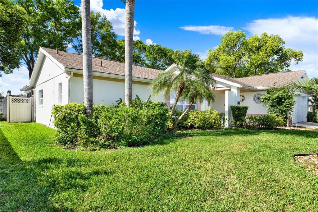 9806 Didrikson Drive New Port Richey, FL 34655 - Photo 3 of 36