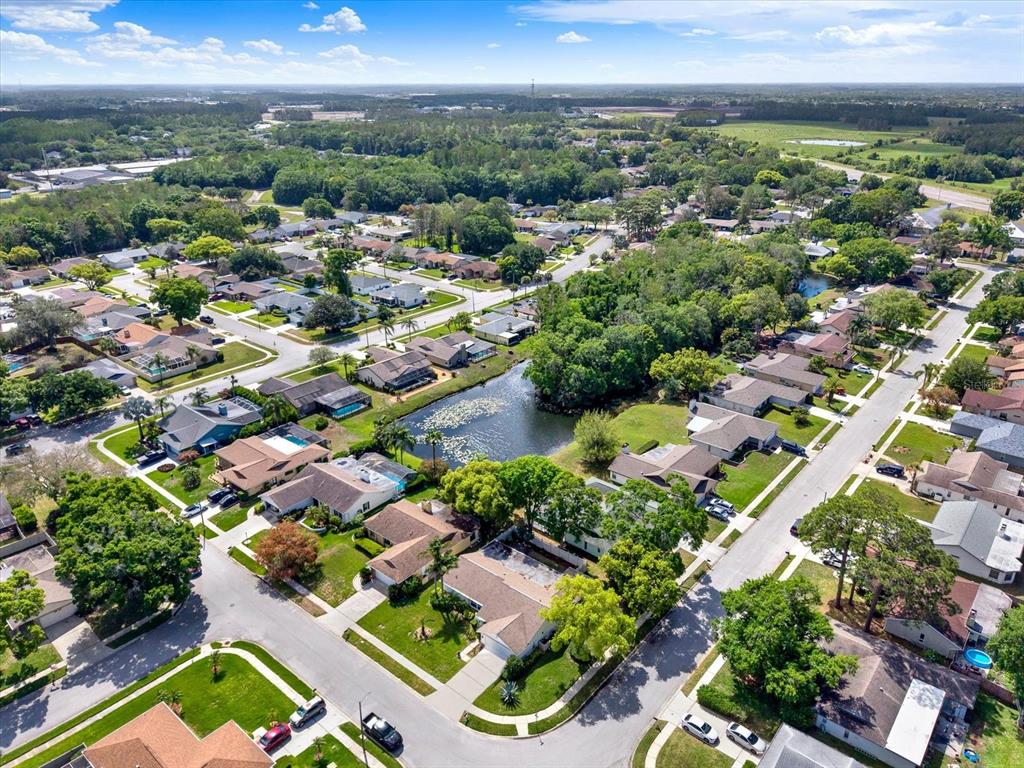 9806 Didrikson Drive New Port Richey, FL 34655 - Photo 33 of 36