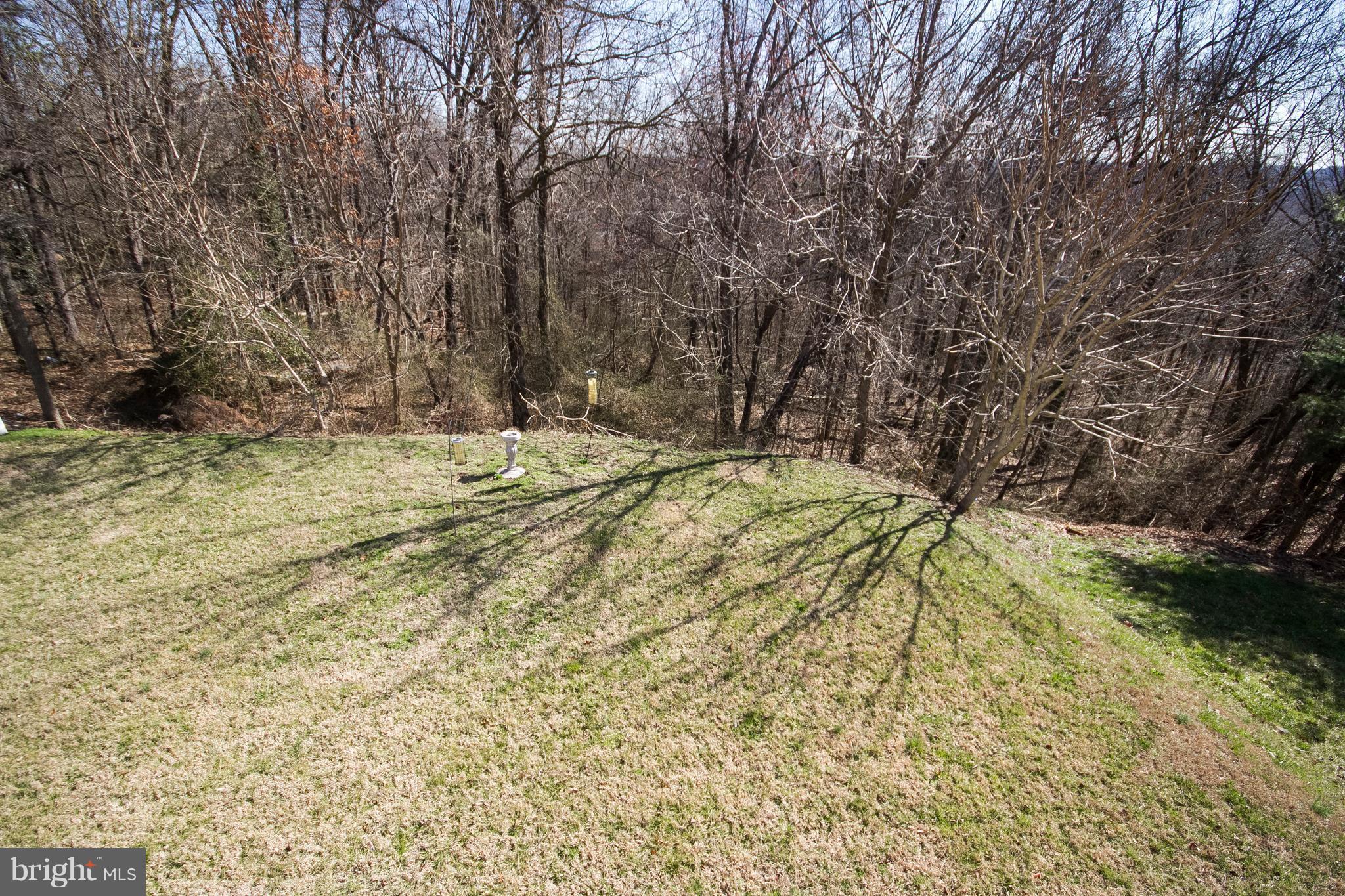 4305 Spring Avenue Baltimore, MD 21227 - Photo 29 of 29 Exterior (Rear)