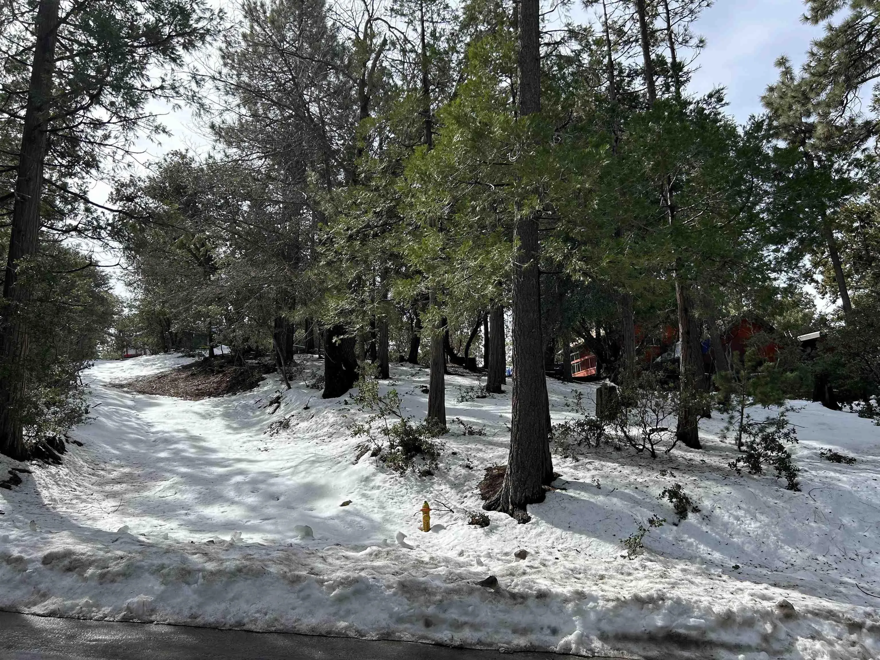 Lot 8 Saunders Meadow Road, Unit 8 Idyllwild, CA 92549 - Photo 2 of 12 a view of a tree with a yard
