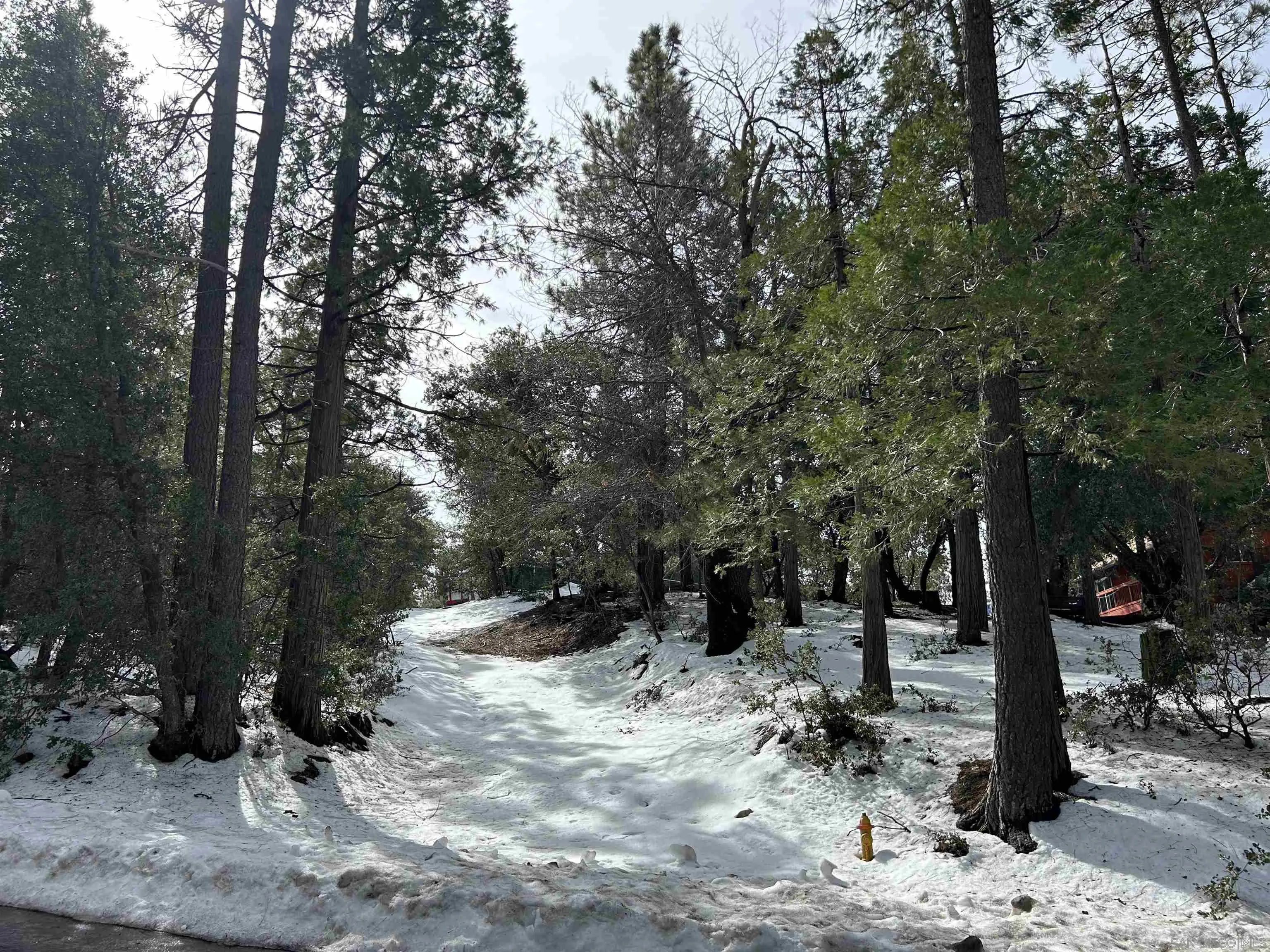 Lot 8 Saunders Meadow Road, Unit 8 Idyllwild, CA 92549 - Photo 3 of 12 a view of a outdoor space with trees