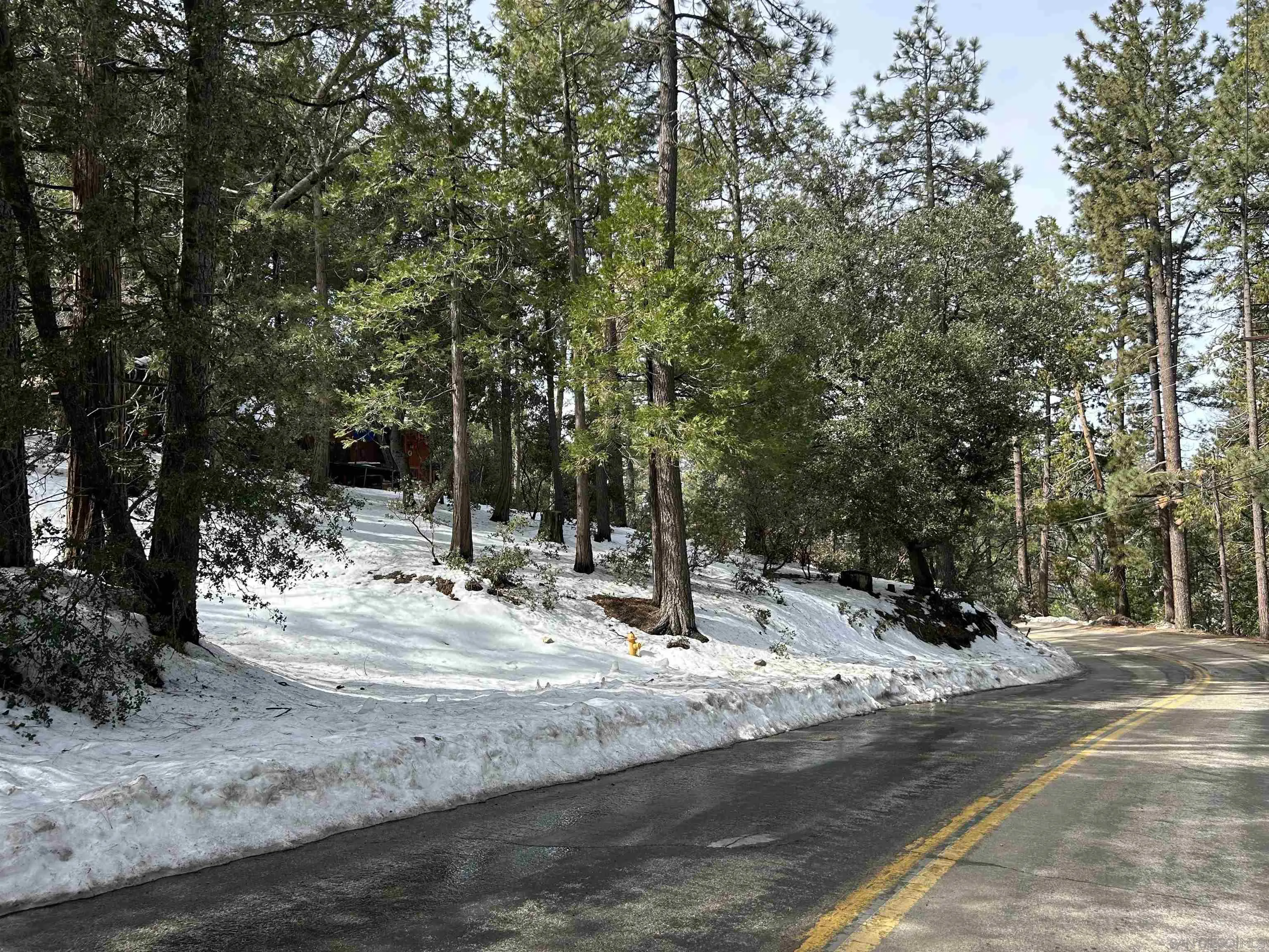 Lot 8 Saunders Meadow Road, Unit 8 Idyllwild, CA 92549 - Photo 5 of 12 a view of road with trees