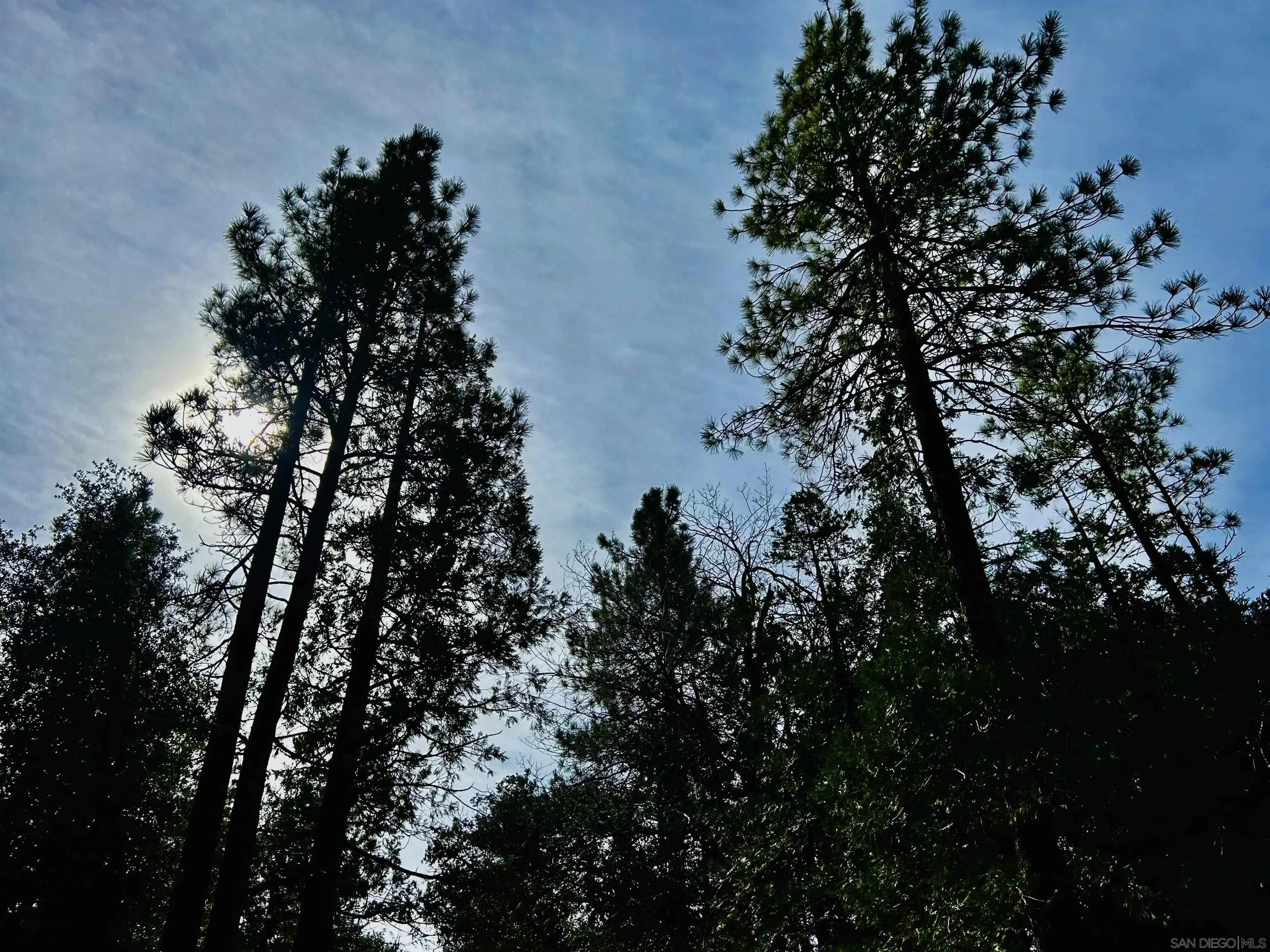 Lot 8 Saunders Meadow Road, Unit 8 Idyllwild, CA 92549 - Photo 6 of 12