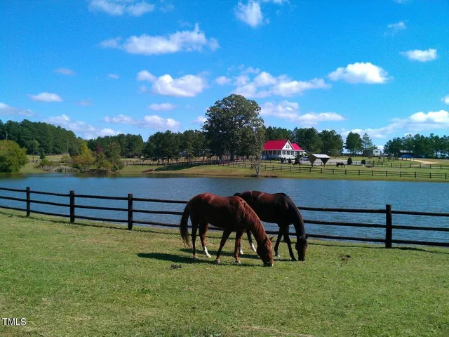 a picture of a house with a swimming pool and garden