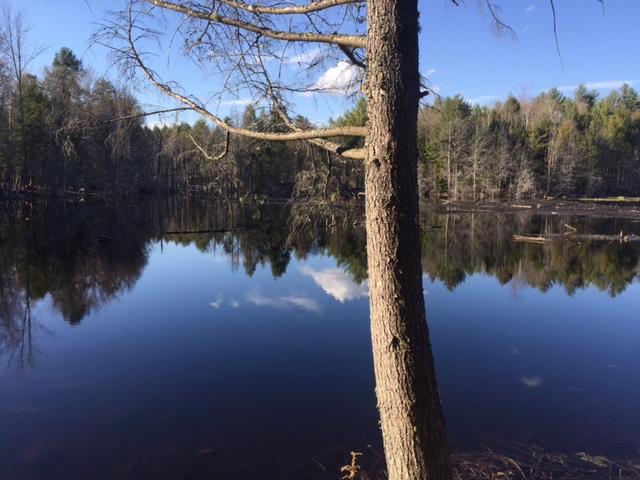 179 Garland Road Newfield, ME 04095 - Photo 39 of 46 Pond 1
