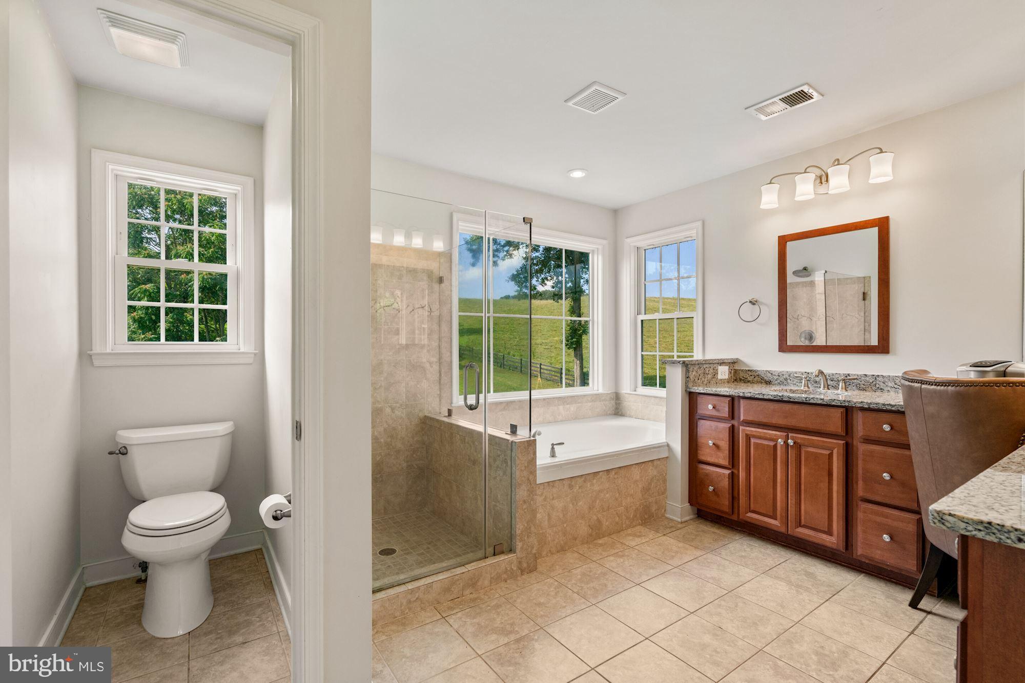 3276 Rokeby Road Delaplane, VA 20144 - Photo 28 of 55 Private water closet