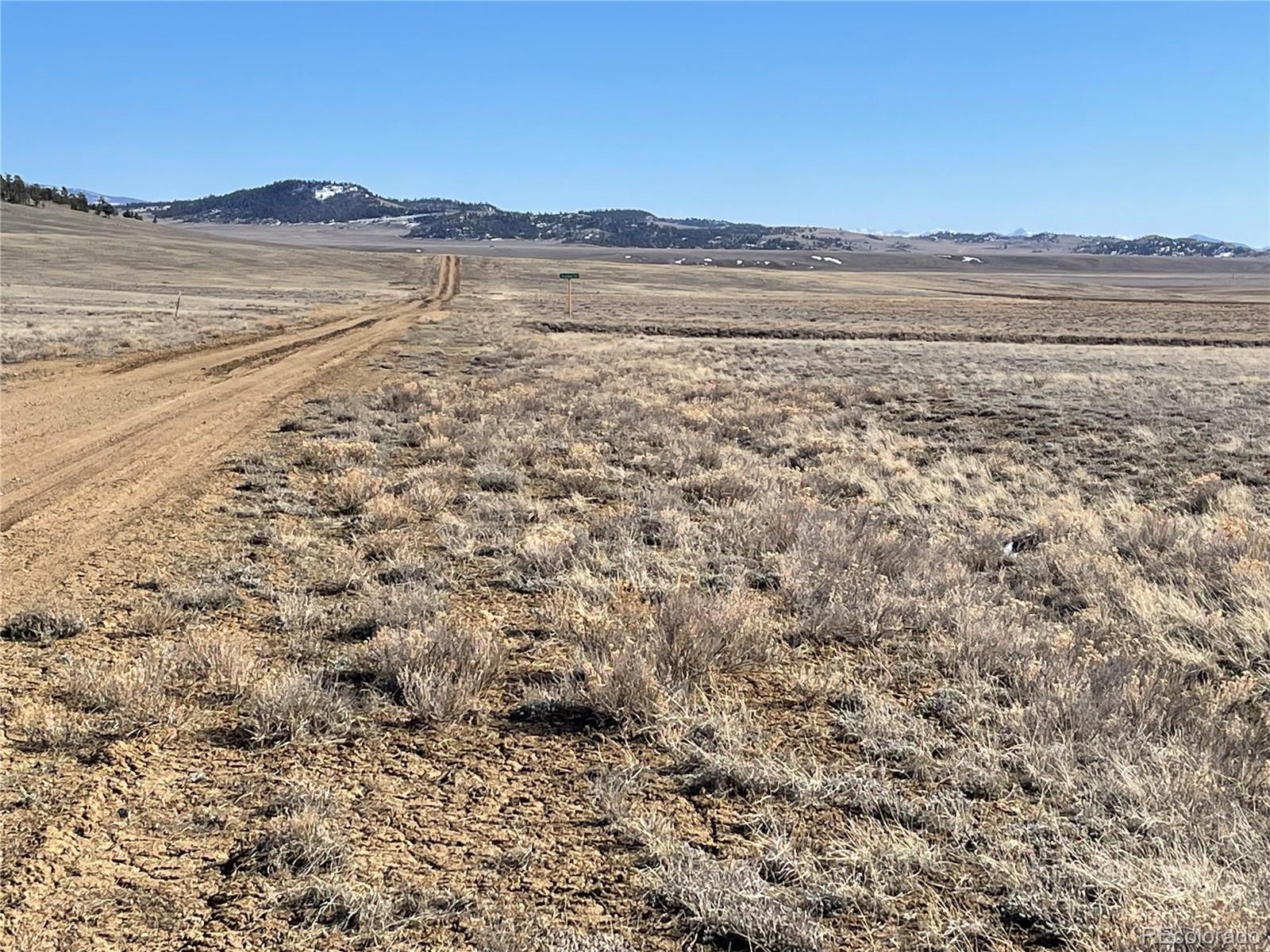 533 West Ranger Hill Road Hartsel, CO 80449 - Photo 2 of 10