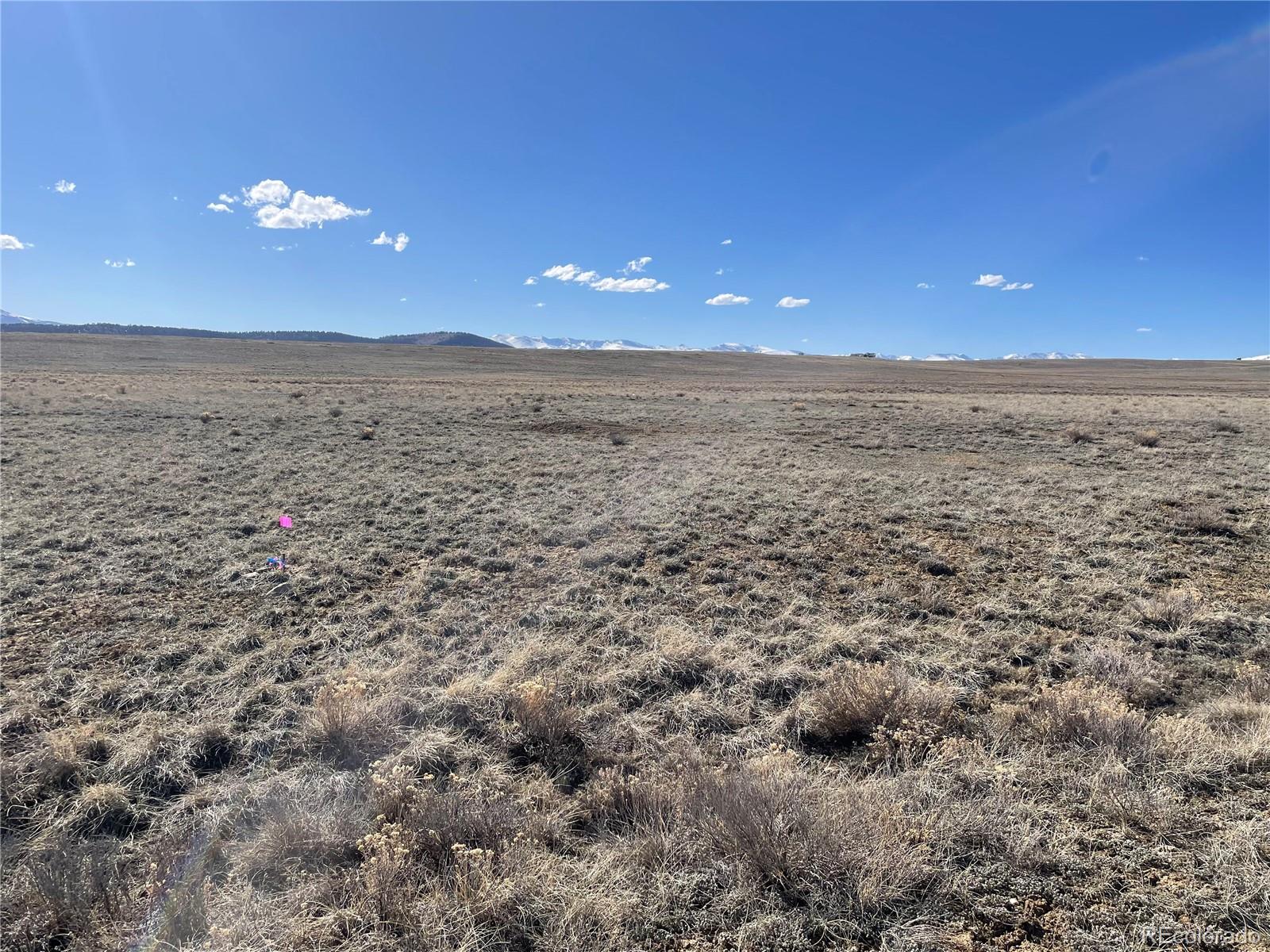 533 West Ranger Hill Road Hartsel, CO 80449 - Photo 3 of 10