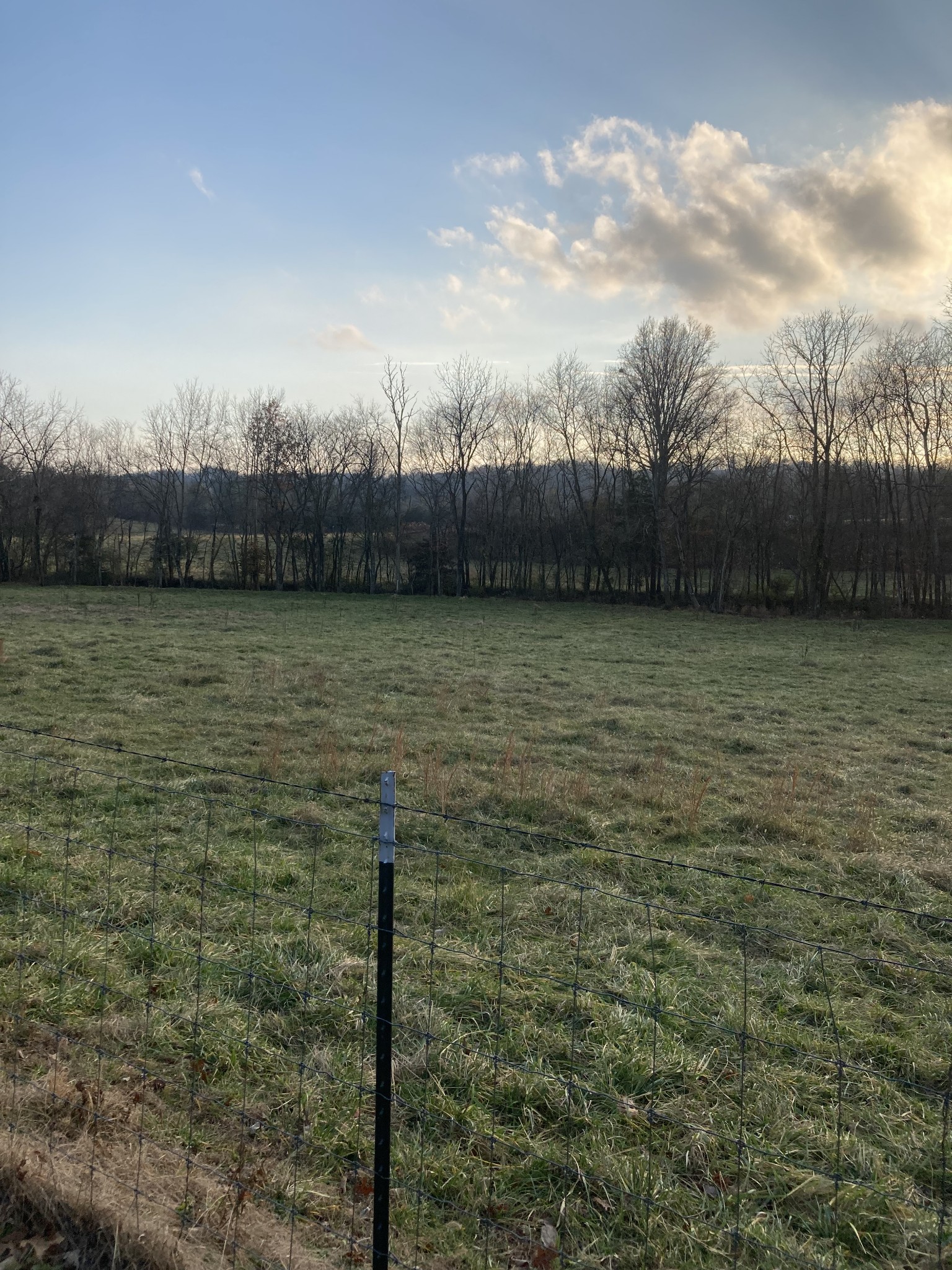 0 Beech Hill Road Pulaski, TN 38478 - Photo 3 of 11