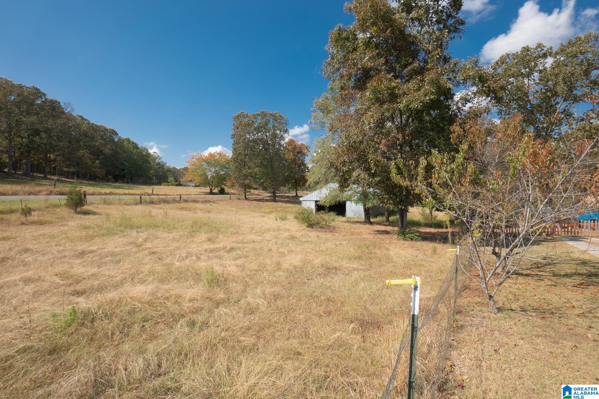 1417 Deer Trace Road Pell City, AL 35125 - Photo 37 of 37