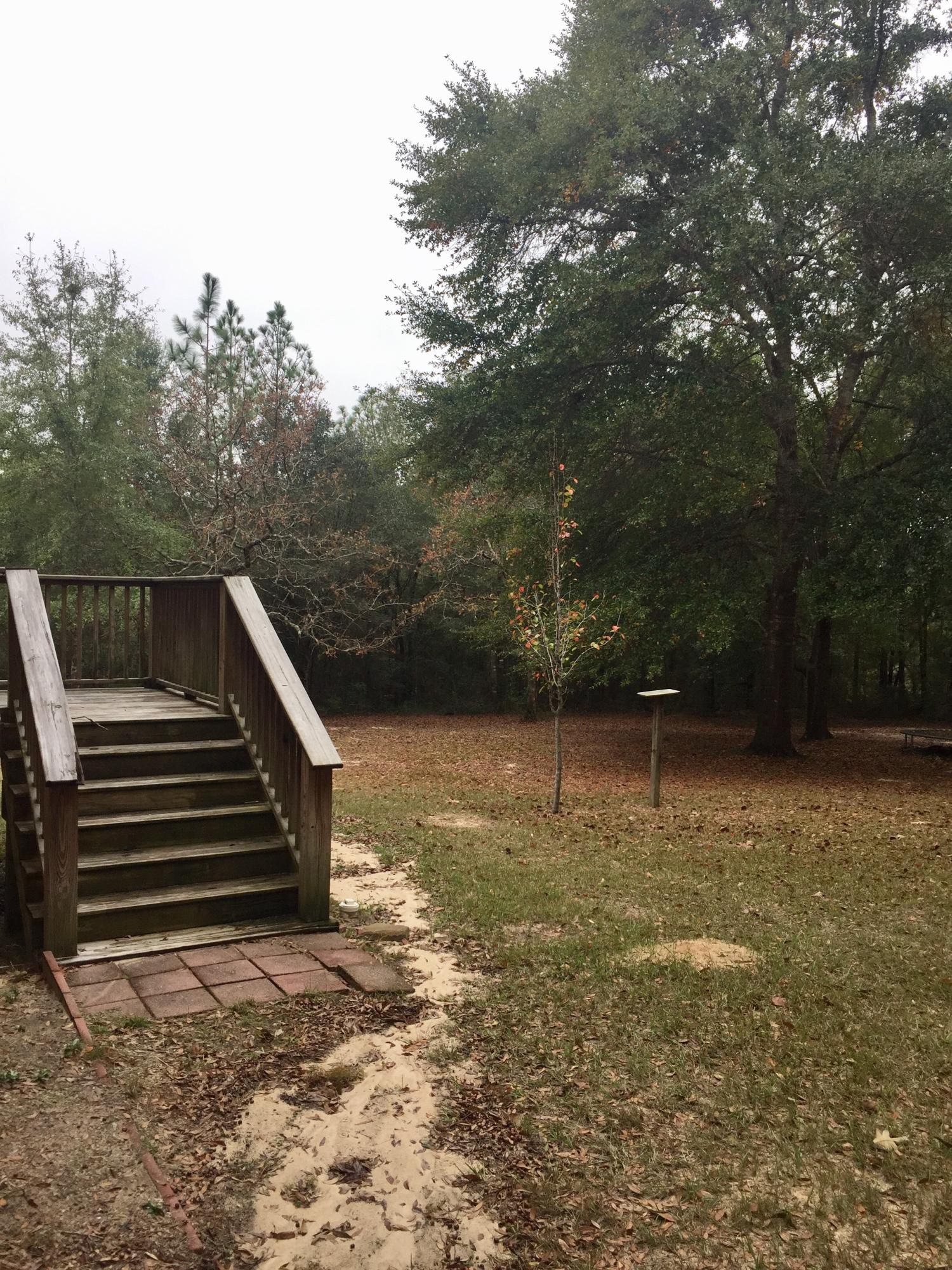 5960 Old Hickory Road Crestview, FL 32539 - Photo 40 of 43 a backyard of a house with lots of green space