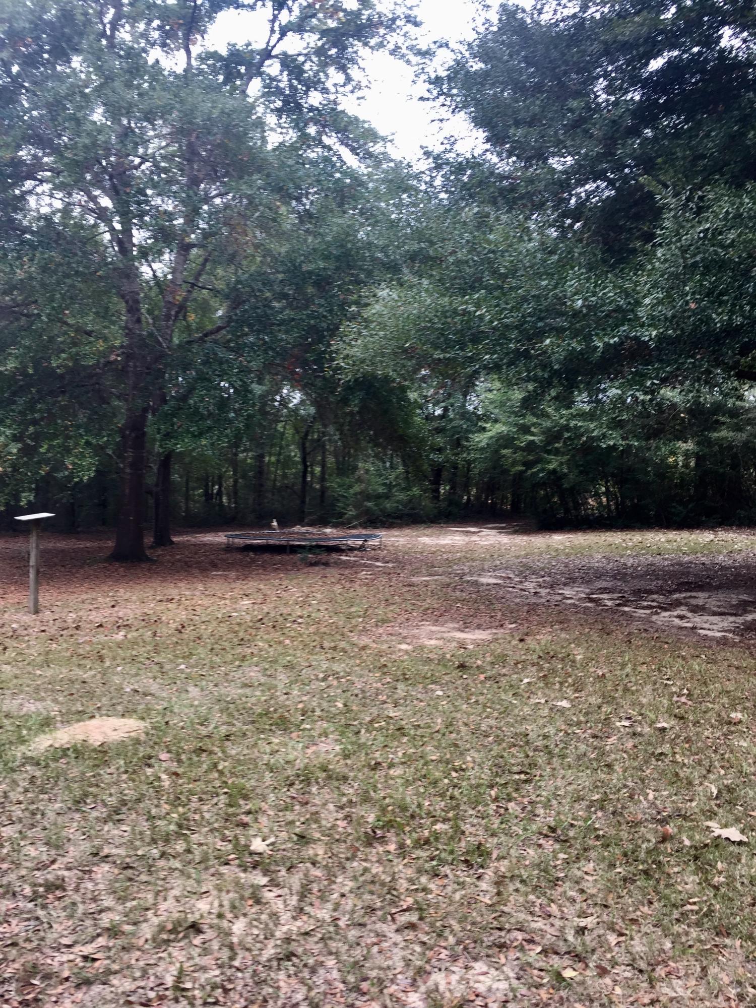 5960 Old Hickory Road Crestview, FL 32539 - Photo 43 of 43 a view of backyard with green space