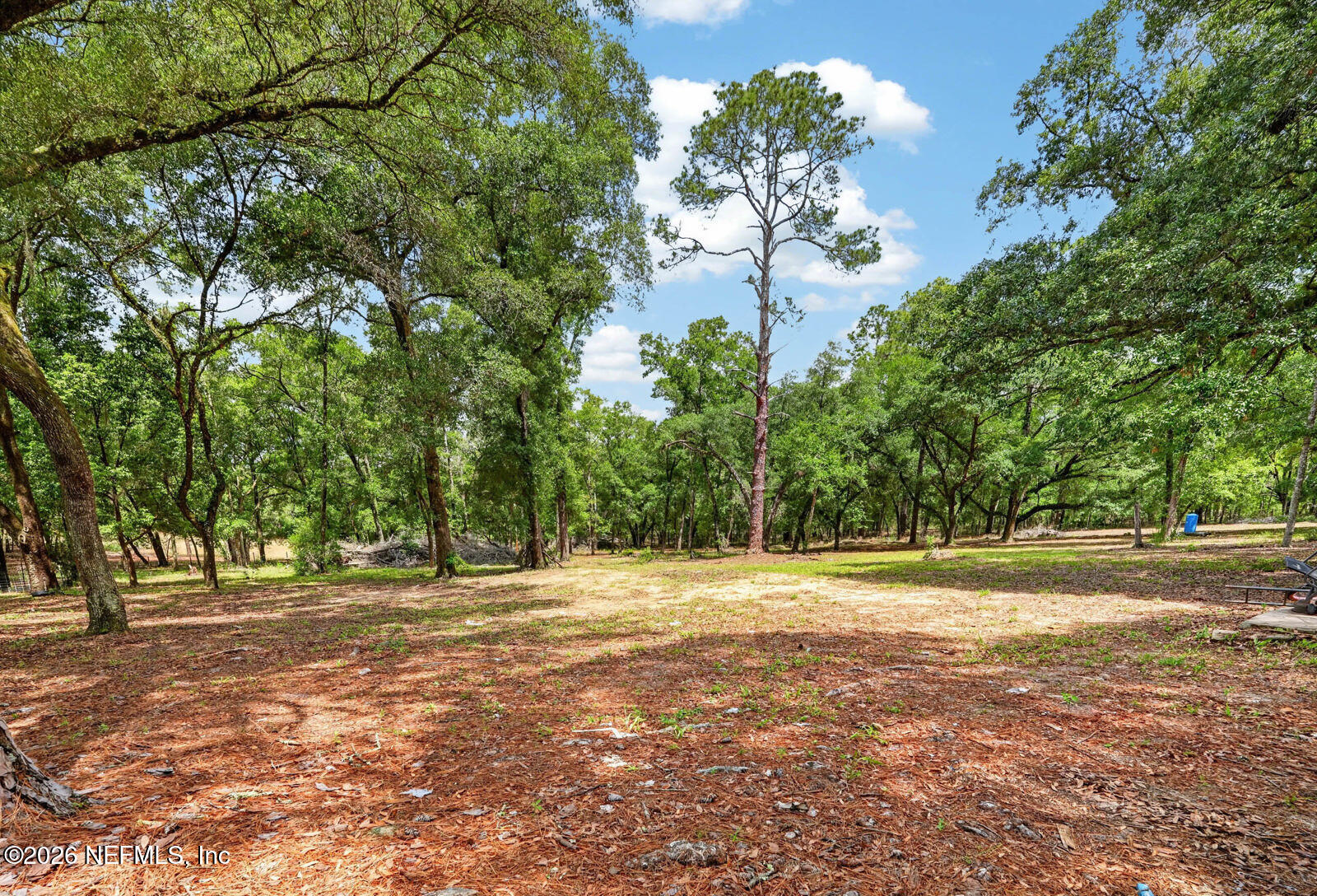 134 Windy Hills Road Hawthorne, FL 32640 - Photo 52 of 66 57_dsc09715