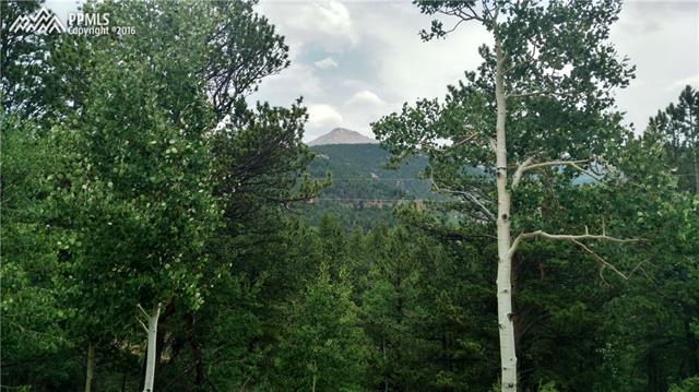 423 Valley Road Divide, CO 80814 - Photo 4 of 28 Gallery Image 4