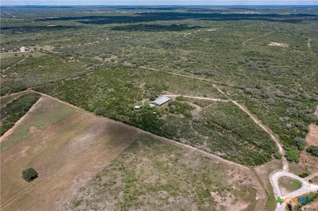 a view of a forest with a street