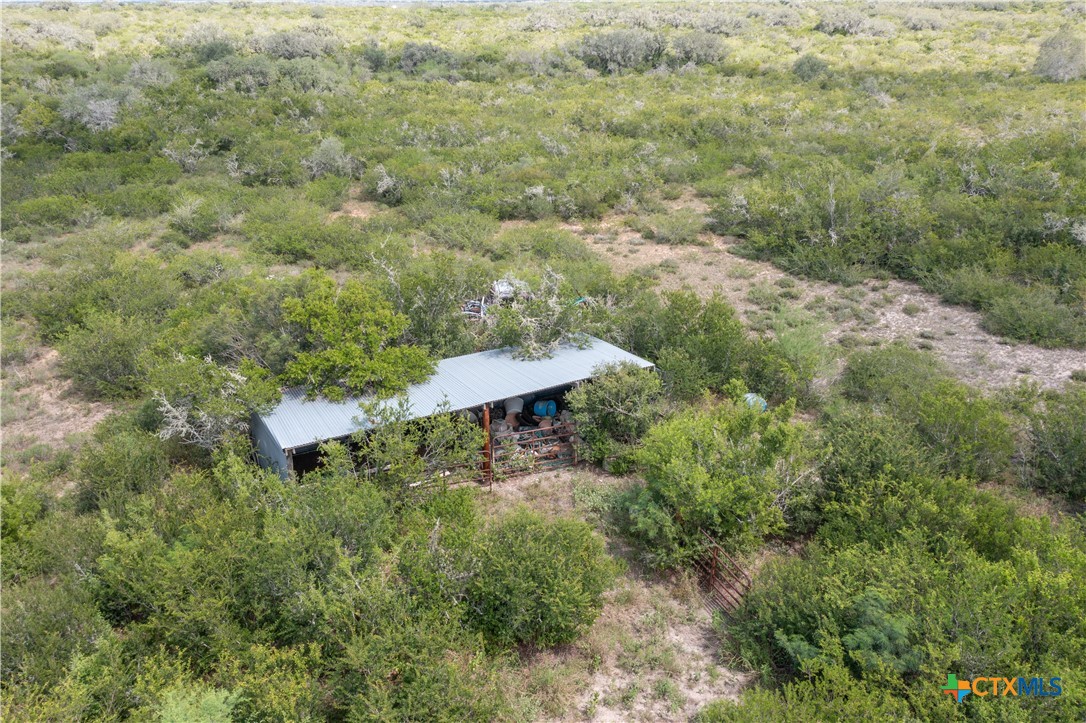6611 Tigre Road Beeville, TX 78102 - Photo 28 of 31 a view of a forest with a street