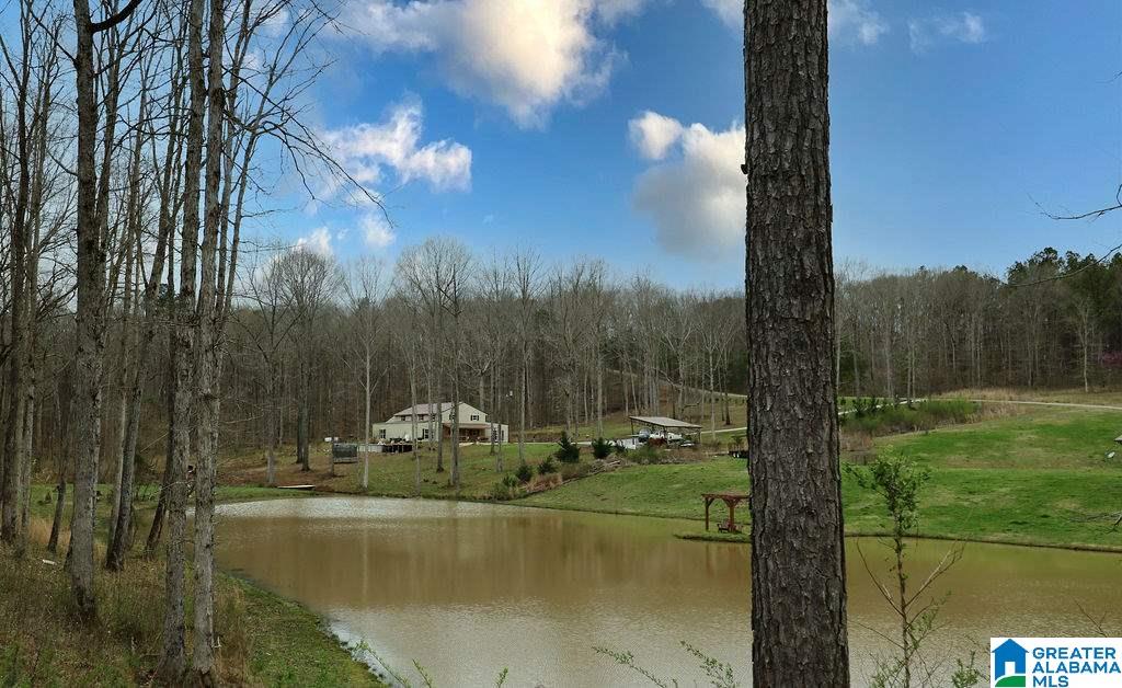 85 County Road 910 Delta, AL 36258 - Photo 28 of 49