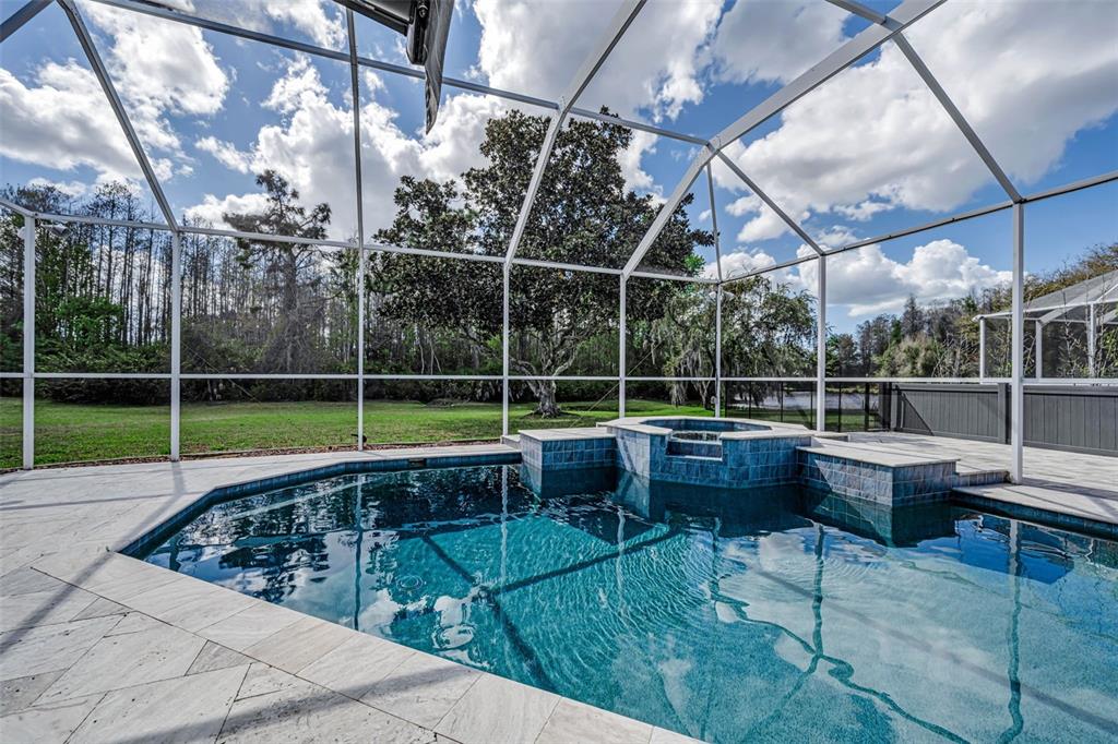 1151 Arlinbrook Drive Trinity, FL 34655 - Photo 15 of 69