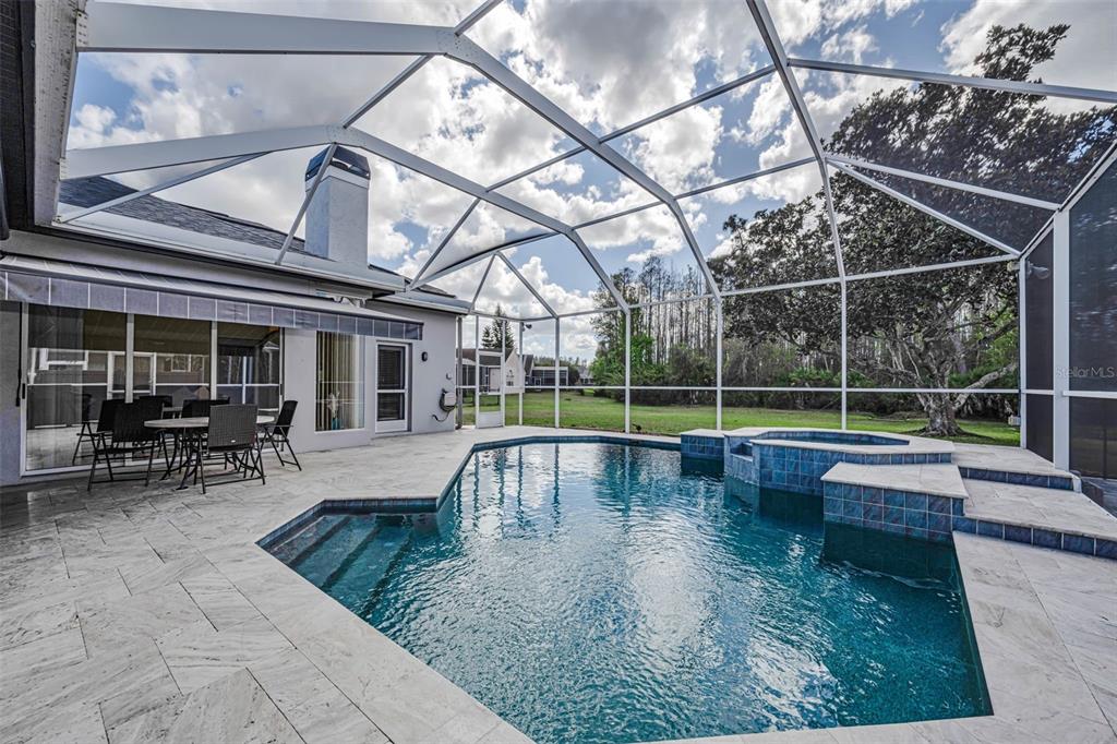 1151 Arlinbrook Drive Trinity, FL 34655 - Photo 16 of 69 a view of a swimming pool with a patio and a yard