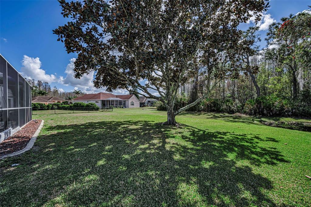 1151 Arlinbrook Drive Trinity, FL 34655 - Photo 21 of 69 a view of yard with swimming pool and green space