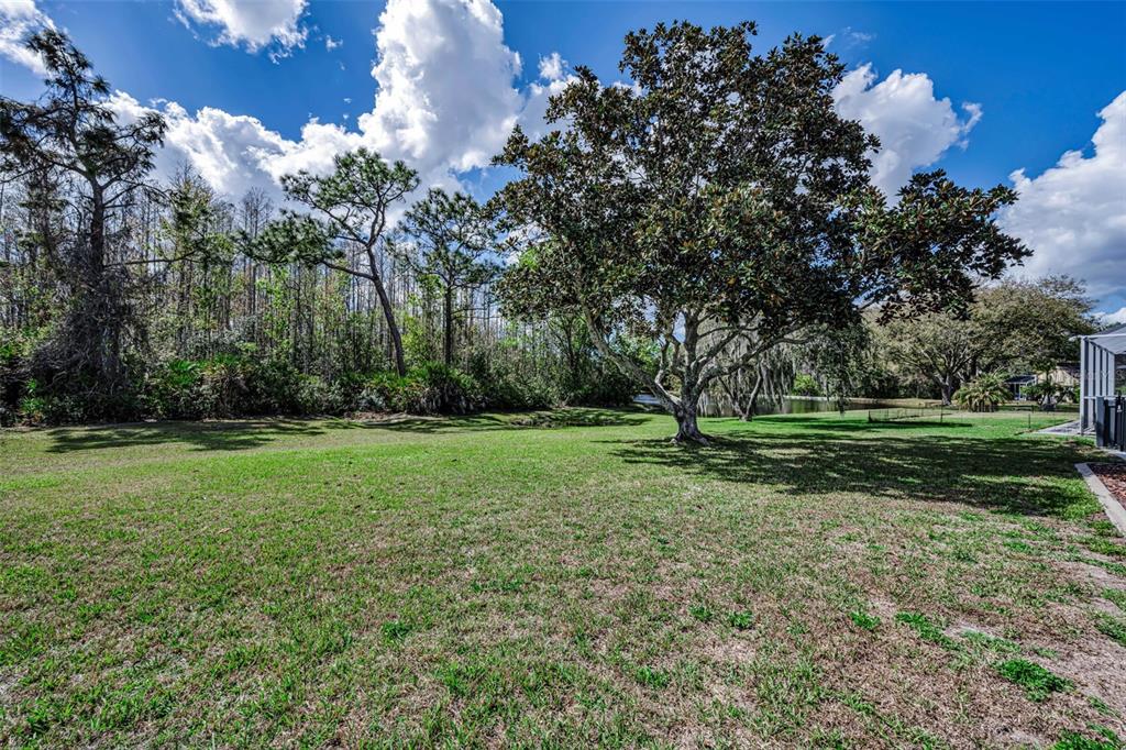 1151 Arlinbrook Drive Trinity, FL 34655 - Photo 22 of 69 a view of a park