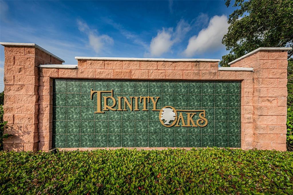 1151 Arlinbrook Drive Trinity, FL 34655 - Photo 58 of 69 a sign that is on a brick wall